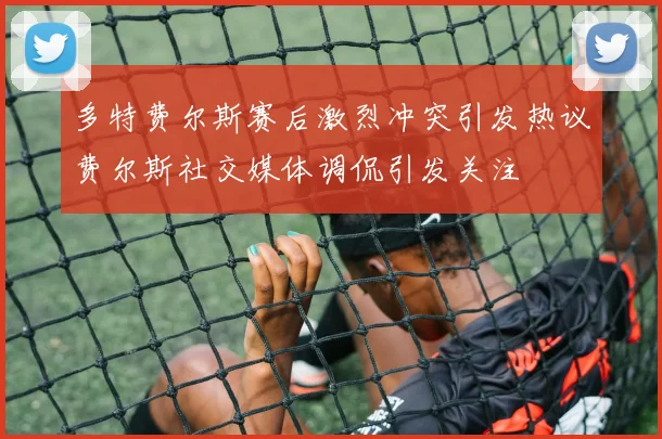 多特费尔斯赛后激烈冲突引发热议费尔斯社交媒体调侃引发关注