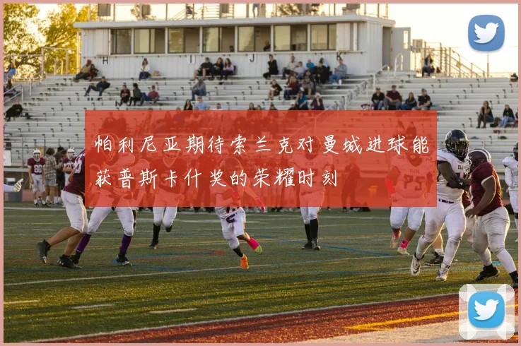 帕利尼亚期待索兰克对曼城进球能获普斯卡什奖的荣耀时刻
