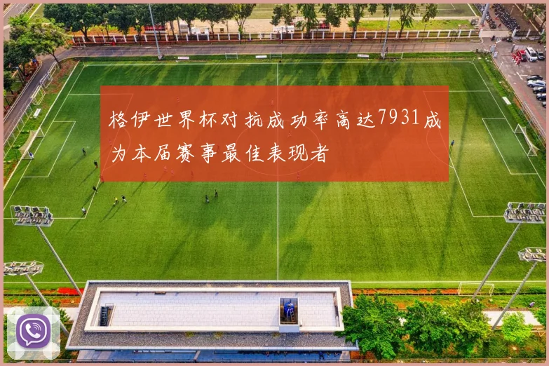 格伊世界杯对抗成功率高达7931成为本届赛事最佳表现者