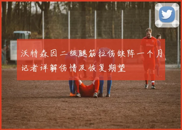沃特森因二级腿筋拉伤缺阵一个月记者详解伤情及恢复期望